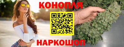 трава Кинель